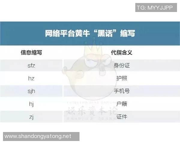 深圳足球明星赛门票价格揭秘及购票攻略分享