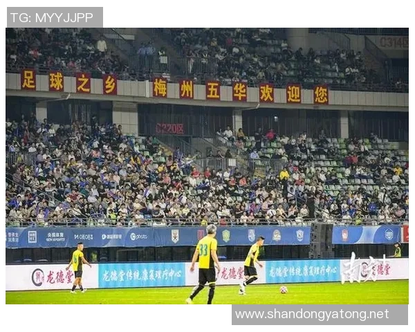 宝提足球明星赛盛况空前球迷齐聚共庆足球激情与友谊