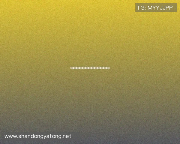 篮球巨星亲临助阵儿子比赛展现父爱与运动精神的完美结合